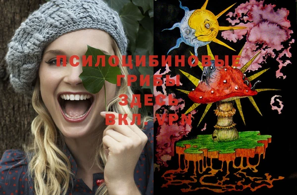 прущие крисы Вяземский