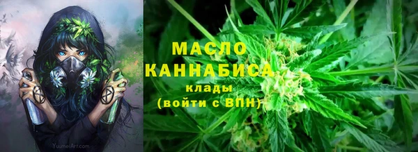 прущие крисы Вяземский